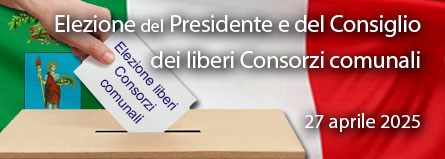 Elezioni liberi Consorzi comunali 2025