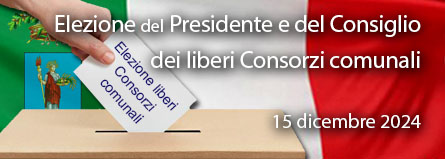 Elezioni liberi Consorzi comunali 2024